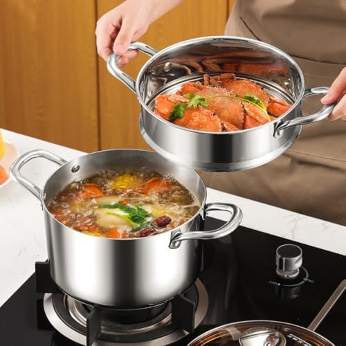 6 Quart Stockpot with Tempered Glass Lid for Induction Electric Gas
