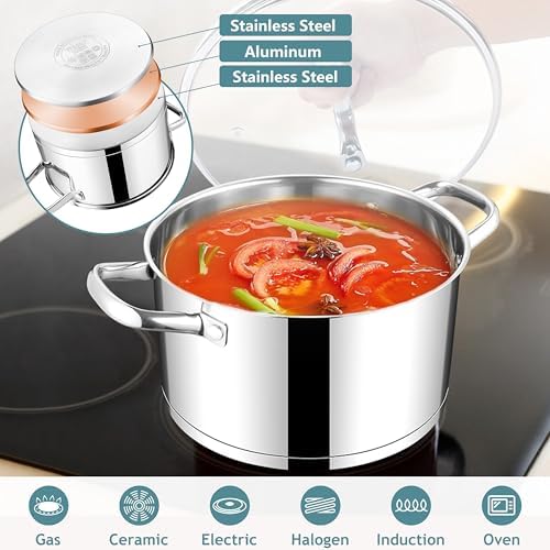 E-far 6 Quart Stainless Steel Stock Pot with Lid