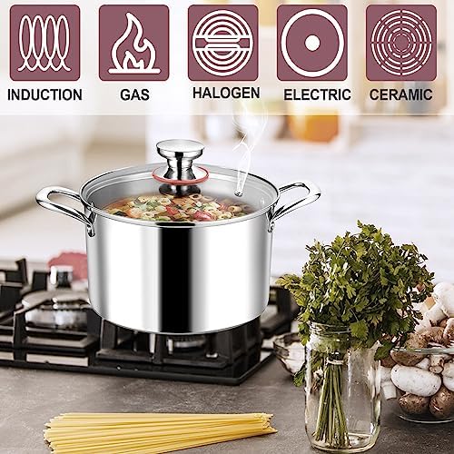 LIANYU 8QT Stainless Steel Stock Pot with Lid 1
