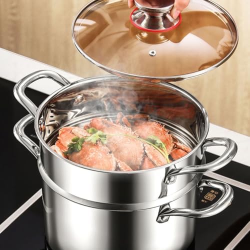 6 Quart Stockpot with Tempered Glass Lid for Induction Electric Gas