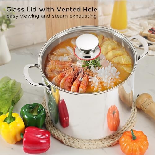 12 Quart Stainless Steel Stock Pot with Lid