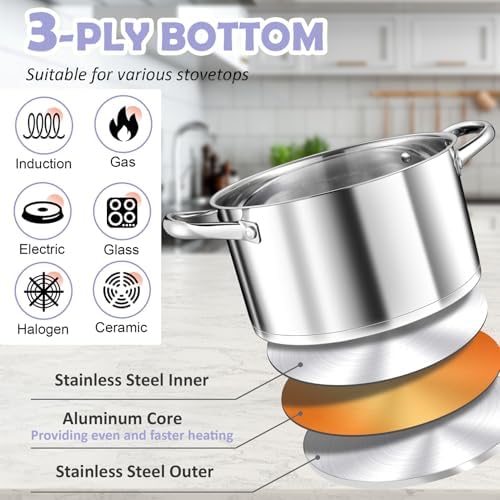 TeamFar 8QT Stock Pot with Lid and Double Handles