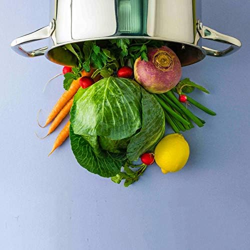 Turbo Pot FreshAir Rapid Boil 8 Qt Stock Pot for Gas Stove