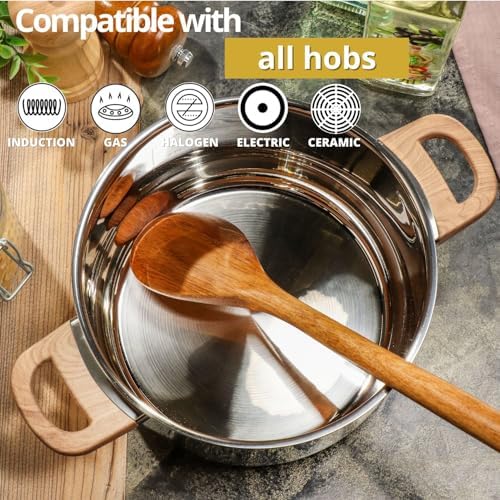 Daniks Oslo 2 Quart Stockpot with Glass Lid and Stay-Cool Handles