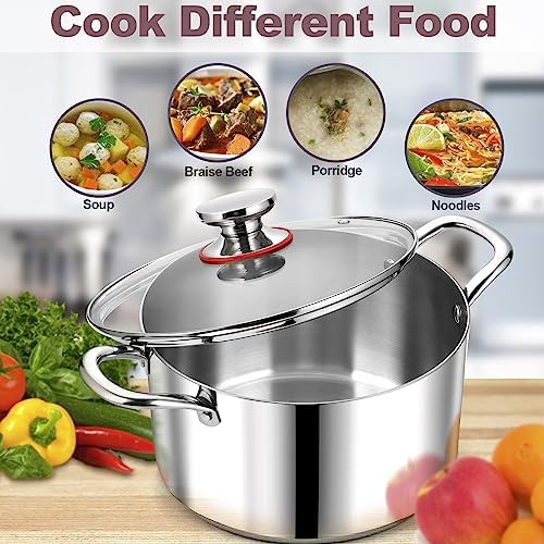 LIANYU 8QT Stainless Steel Stock Pot with Lid 1
