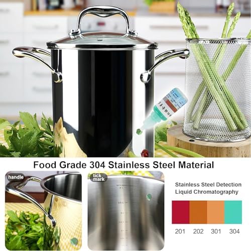 Stainless Steel Asparagus Steamer with Basket and Glass Lid