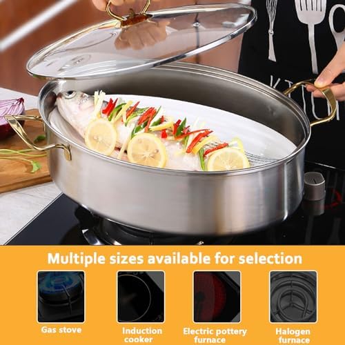 AIZYR 304 Stainless Steel 2 Tier Fish Steamer with Rack Lid