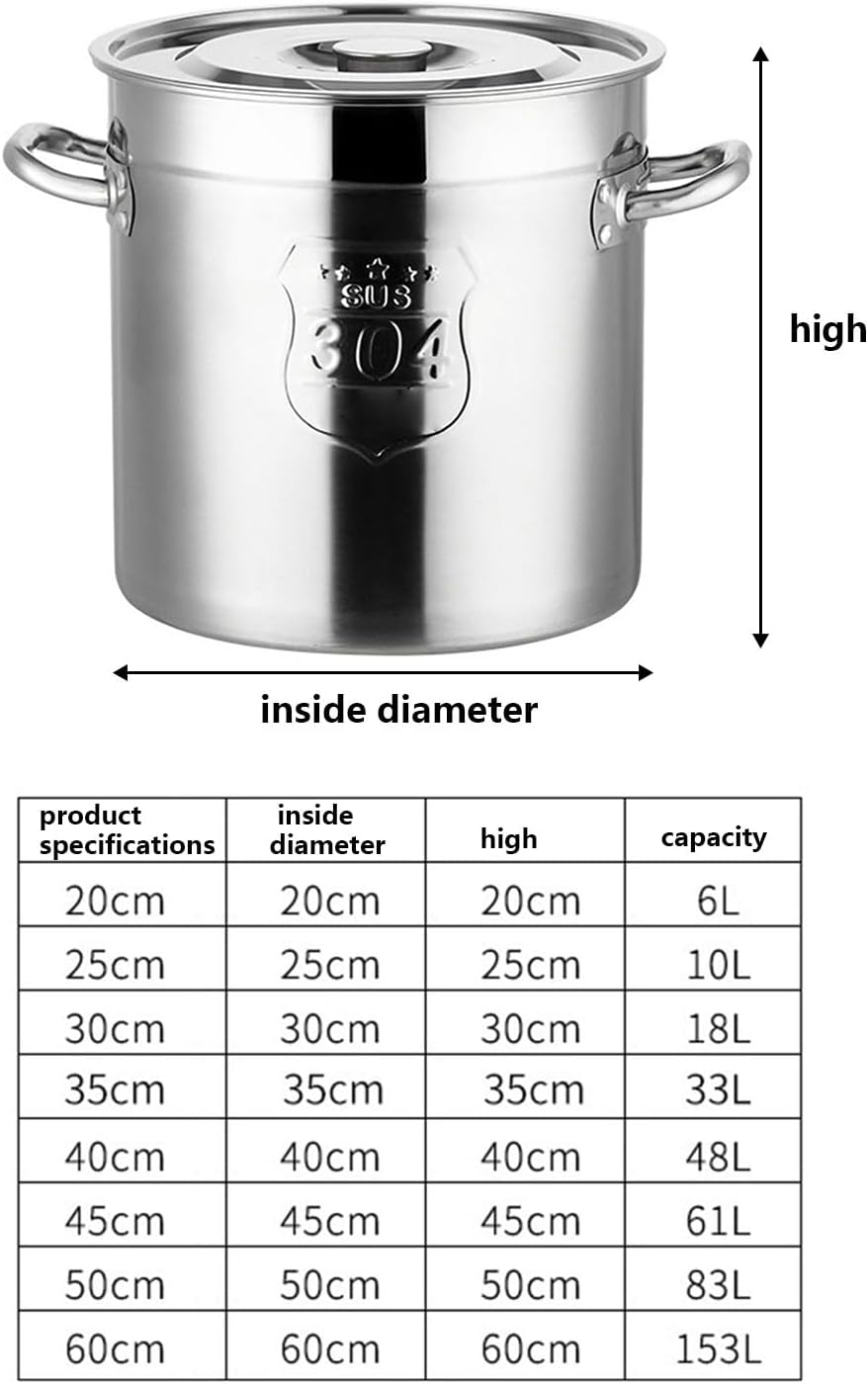 AIZYR 10L Stainless Steel Stockpot with Steel Lid