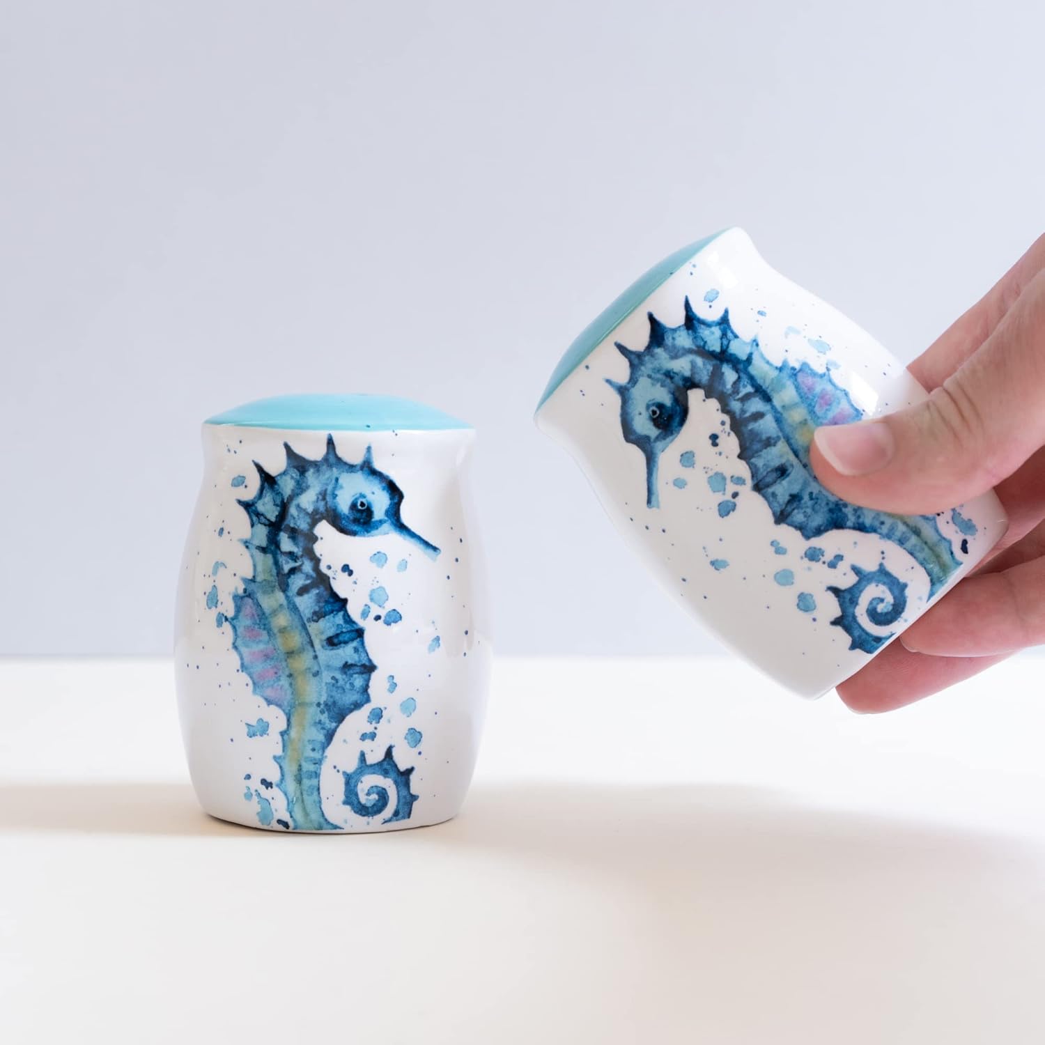 Rengra Ceramic Seahorse Salt Pepper Shakers Set