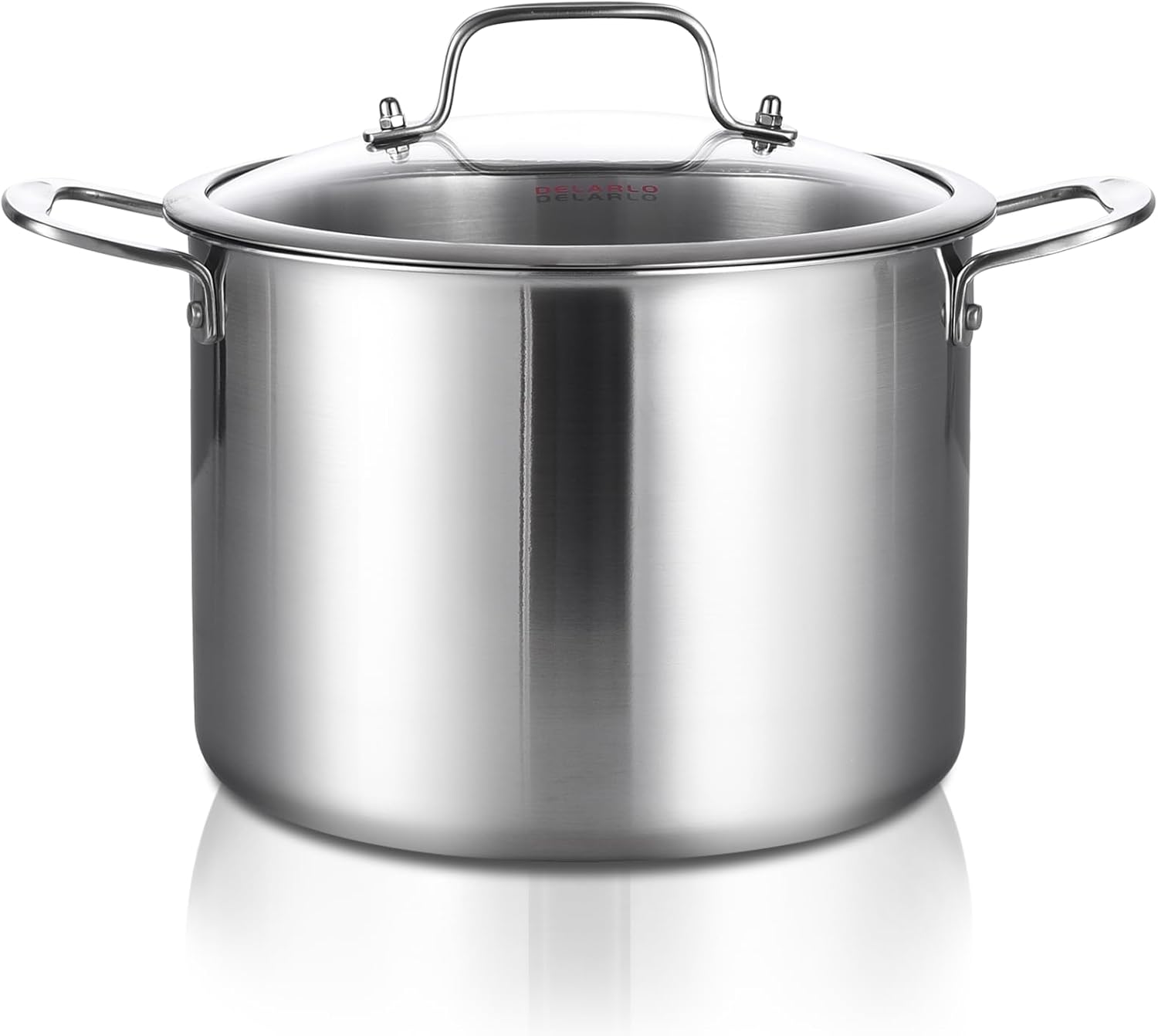 Delarlo 12QT Tri-Ply Stock Pot with Lid Induction Ready