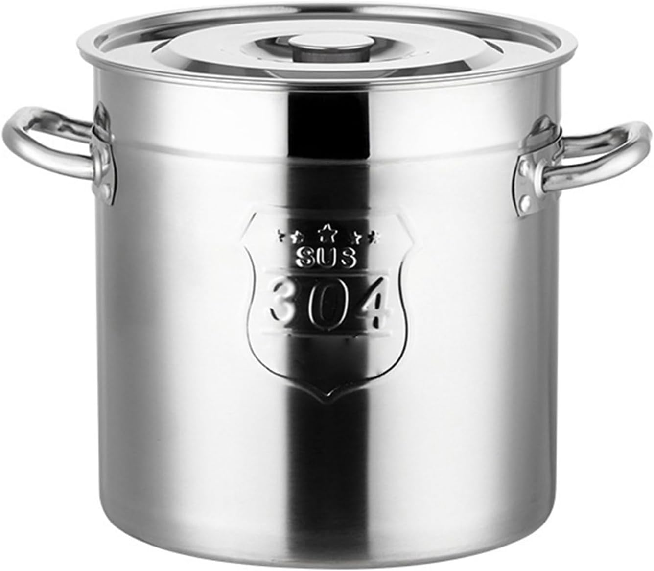 AIZYR 304 Stainless Steel Stockpot with Lid 6L