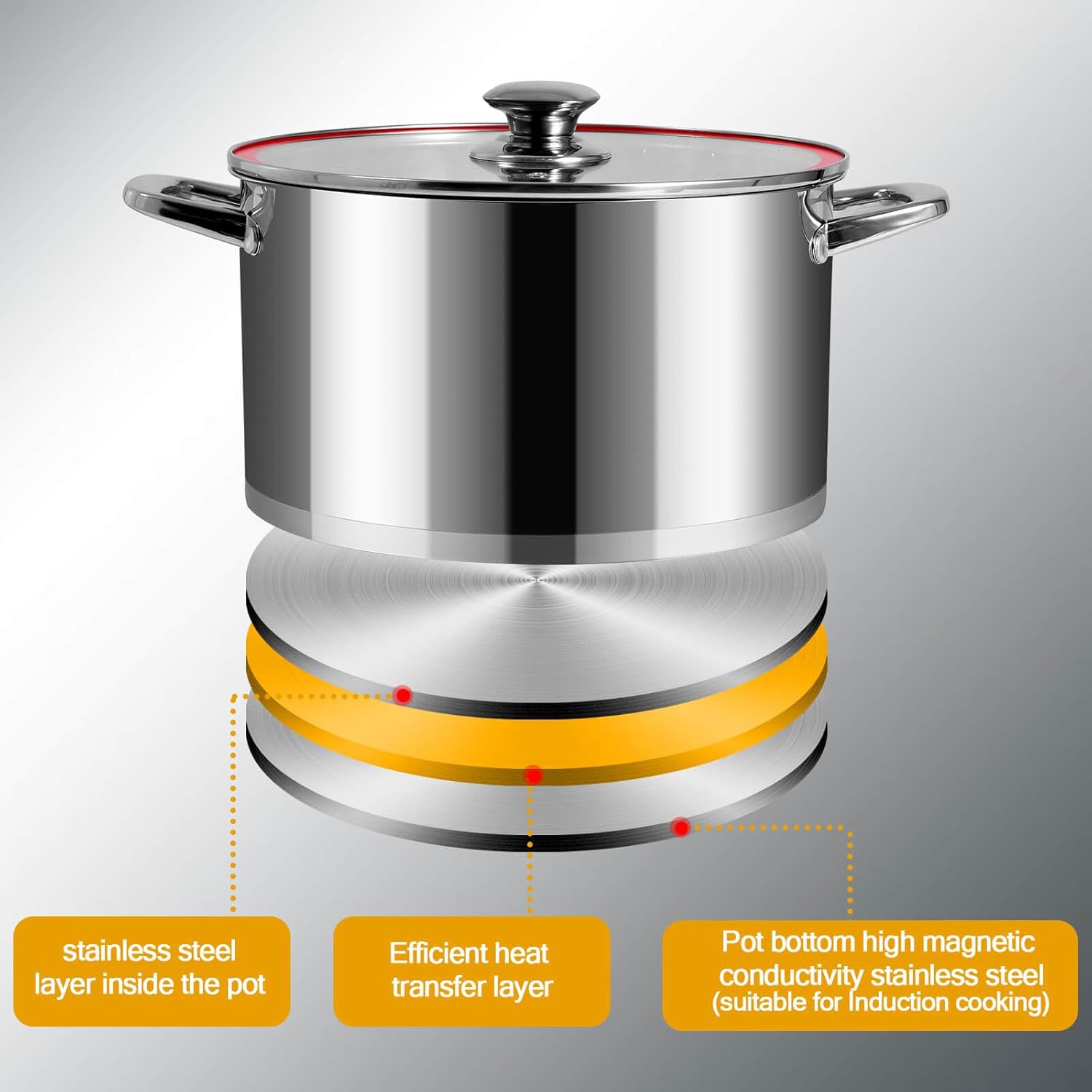 LEUGWAKN 8 Quart Stainless Steel Stock Pot With Lid