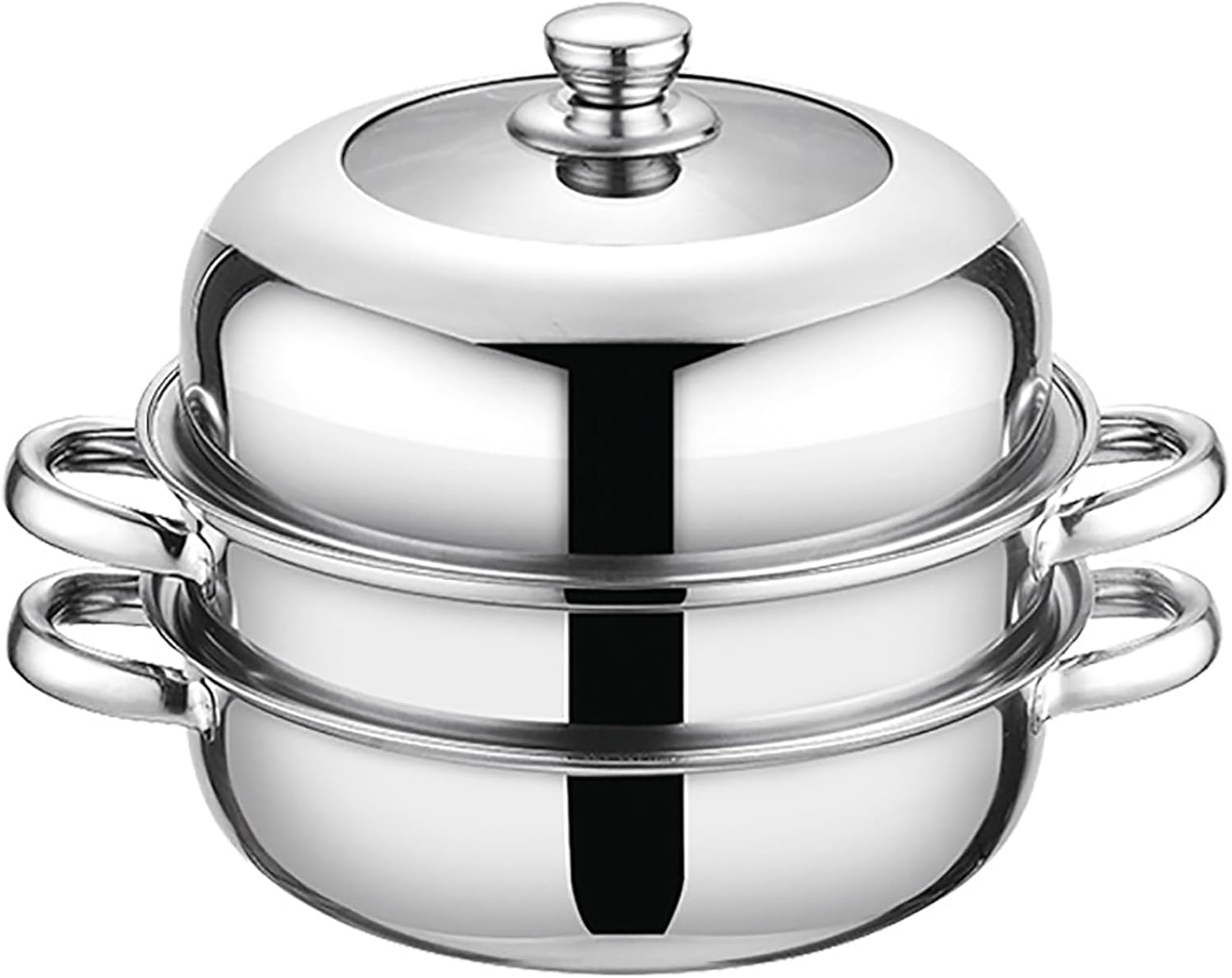 Stainless Steel 11 Inch 2-Tier Steamer Pot with Lid