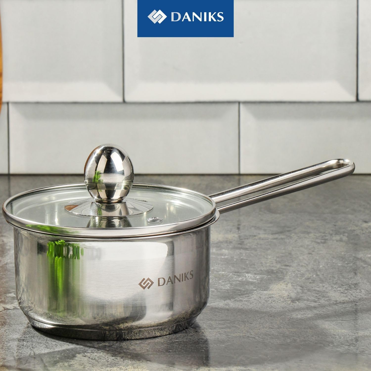 Daniks Mini 1 Quart Stainless Steel Sauce Pot with Glass Lid 1