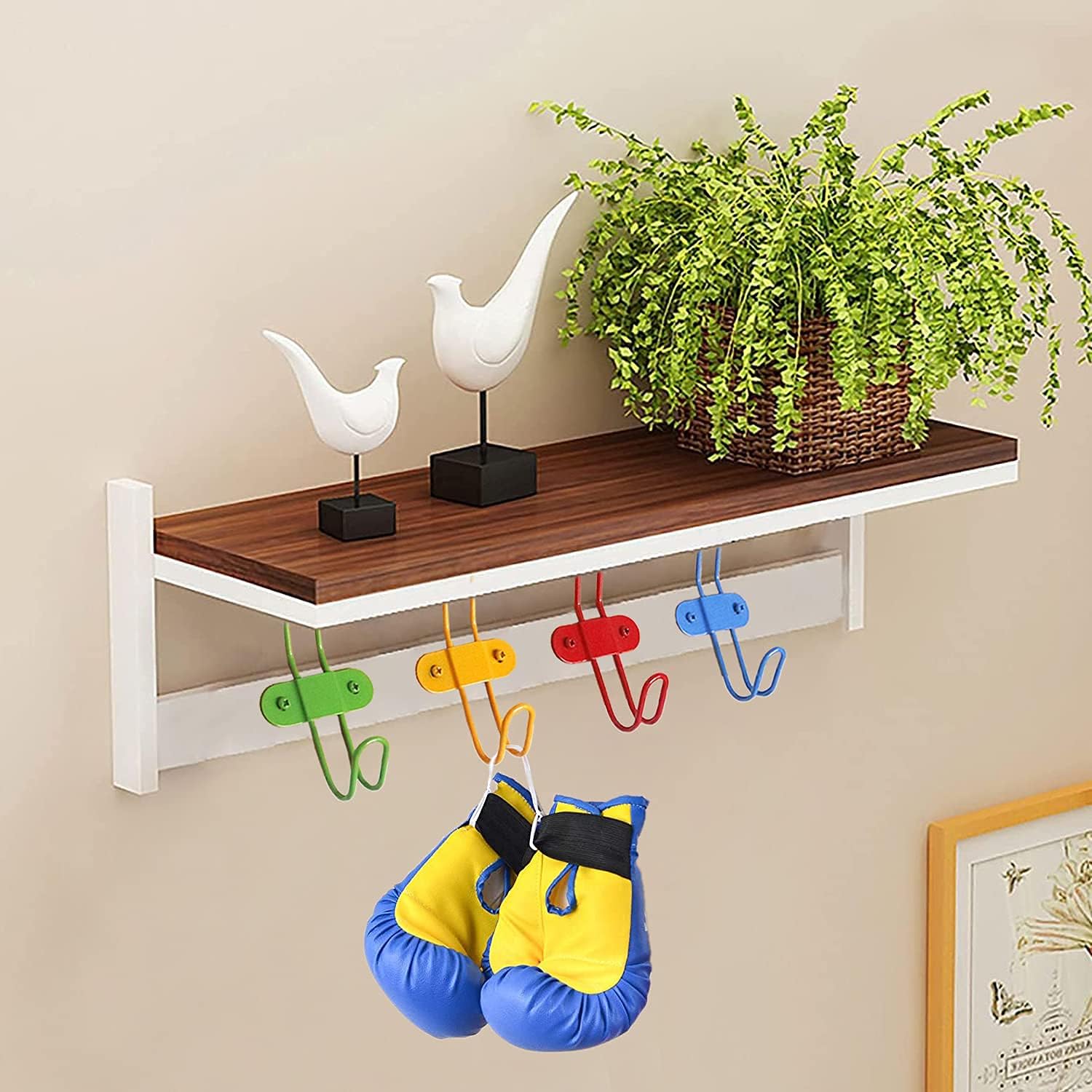 Zagxuade Kids Colorful Wall Hooks