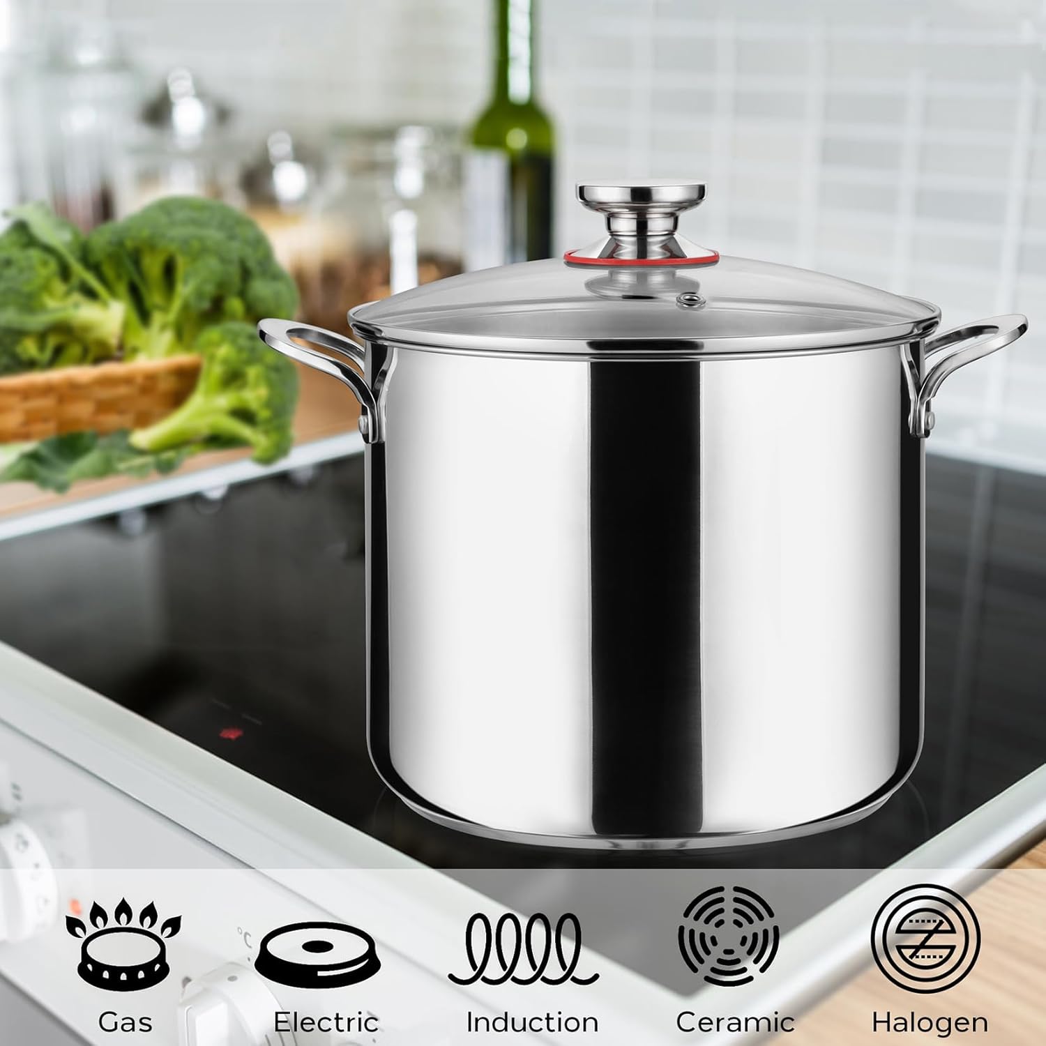 12 Quart Stainless Steel Stock Pot with Lid