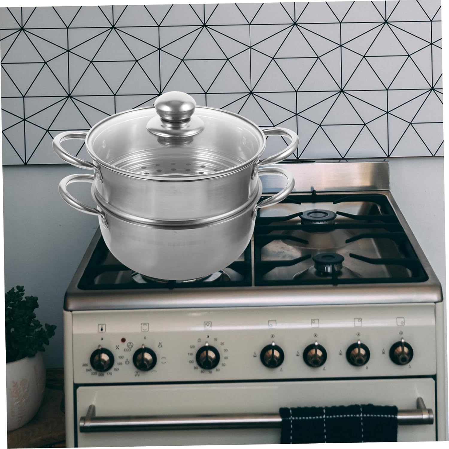 BRIGHTFUFU Food Grade Stainless Steel Steamer for Stove Top and Induction Cooker