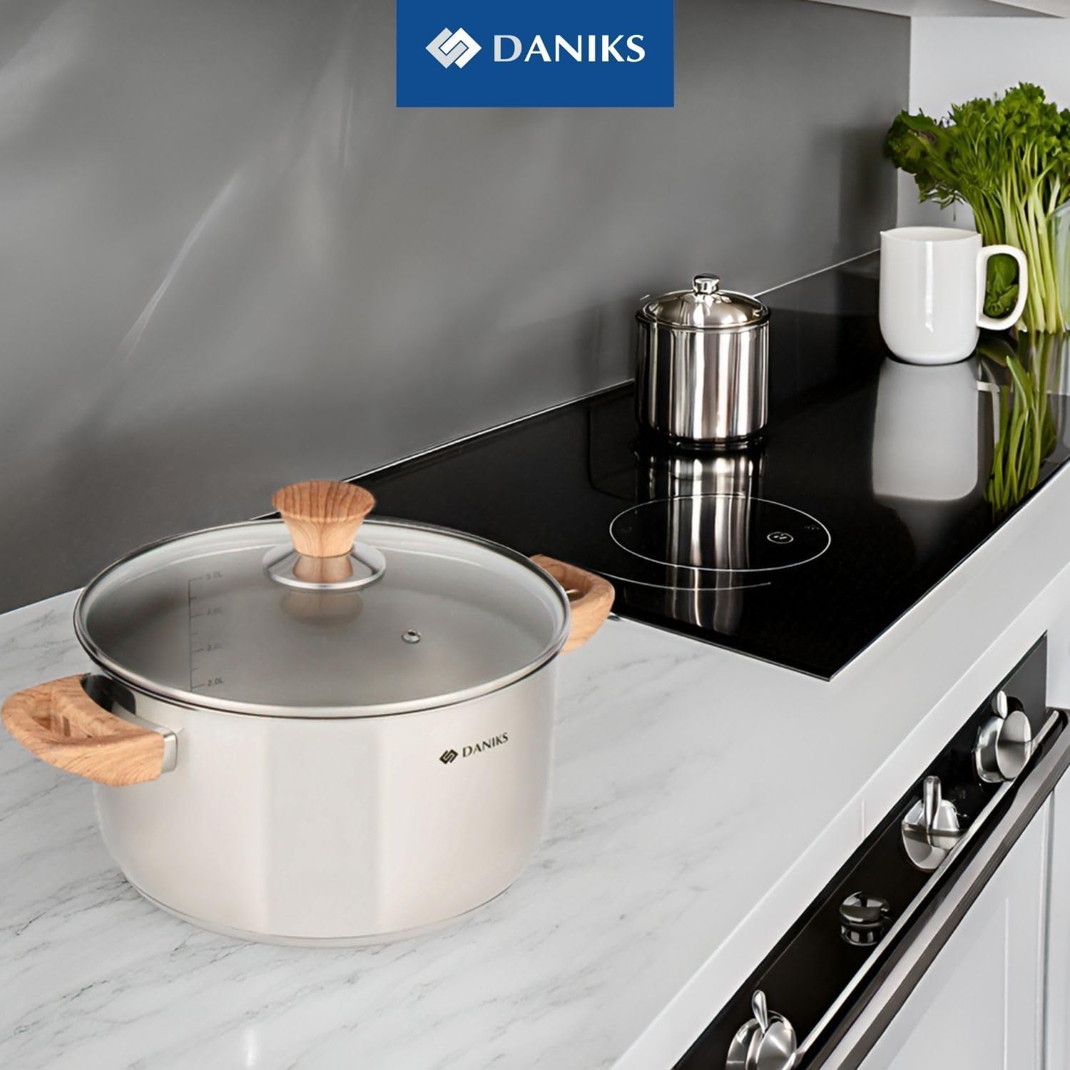 Daniks Oslo 2 Quart Stockpot with Glass Lid and Stay-Cool Handles