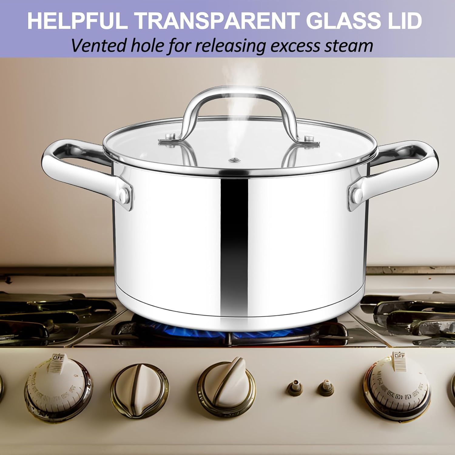 TeamFar 8QT Stock Pot with Lid and Double Handles