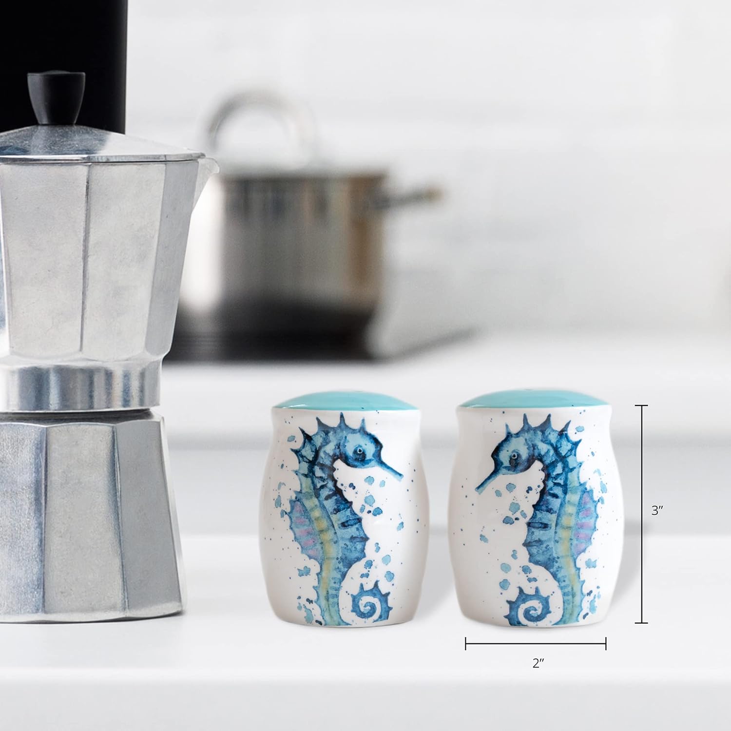 Rengra Ceramic Seahorse Salt Pepper Shakers Set
