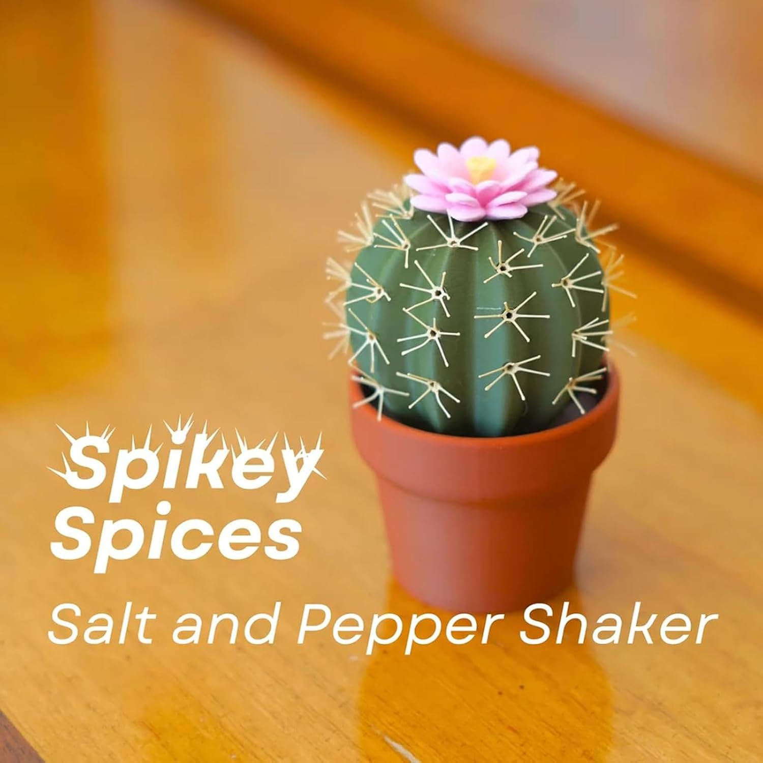 Cactus Salt and Pepper Shaker Set 2pcs Cute Design