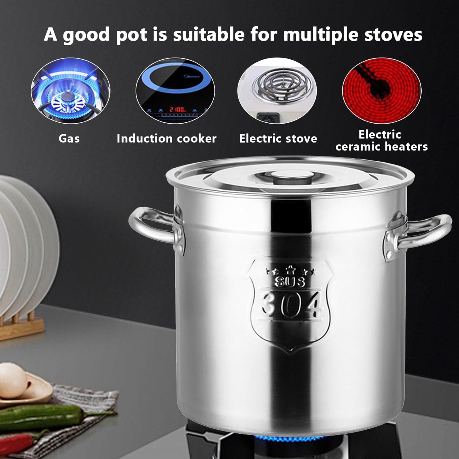 AIZYR 304 Stainless Steel Stockpot with Lid 6L